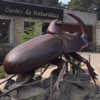 InsectPark