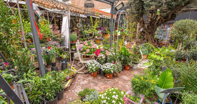 El Ángel del Jardín es la floristería más antigua de Madrid, ¡Un lugar muy especial!
